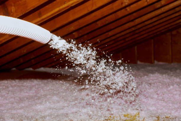 Best Spray Foam Insulation in Erwinville, LA
