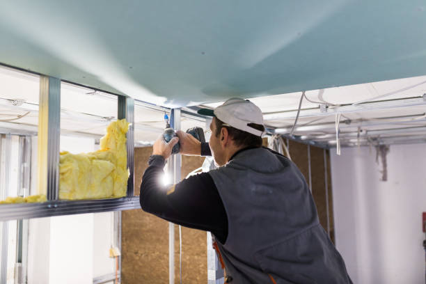 Best Spray Foam Insulation in Erwinville, LA