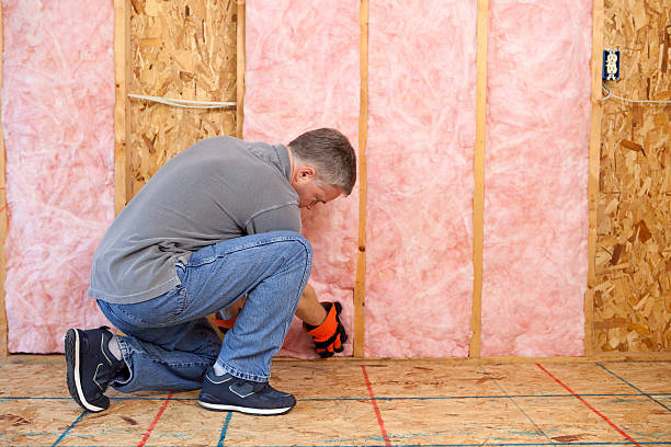 Best DIY Insulation Kits and Guidance in Erwinville, LA