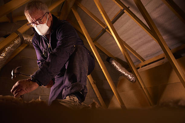 Best Commercial Insulation in Erwinville, LA