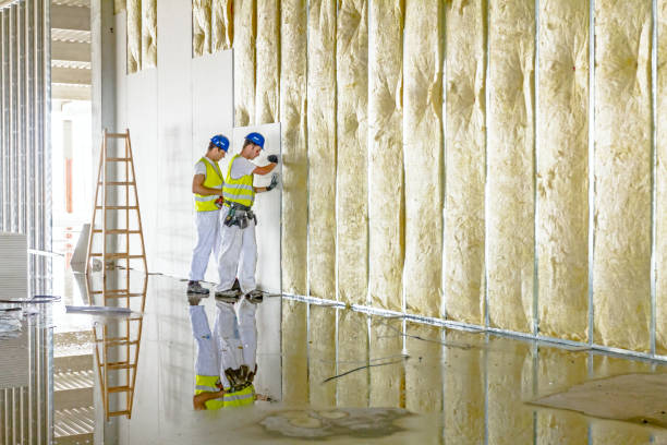 Best Blown-in Insulation in Erwinville, LA